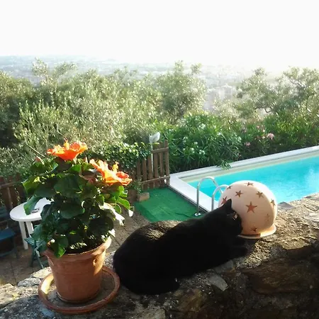 Al Settimo Cielo * Massa (Tuscany)